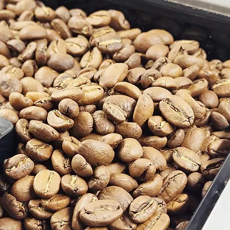 Attic In The Heart Of Daire *