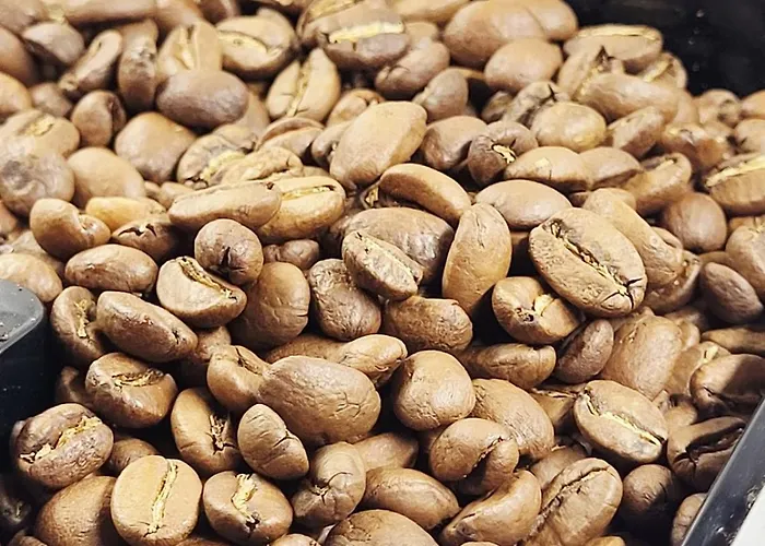 Attic In The Heart Of Daire *